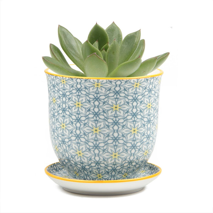 Small Liberte 3 - Yellow Stars