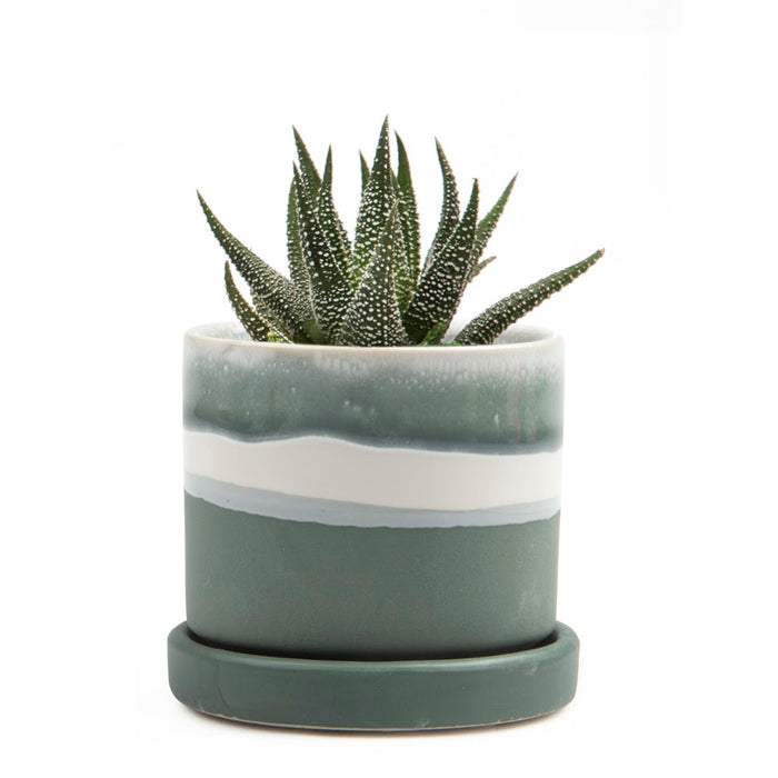 Small Minute 2 Pot & Saucer - Matte Green