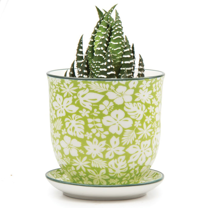 Green Garden Pot & Saucer - Small