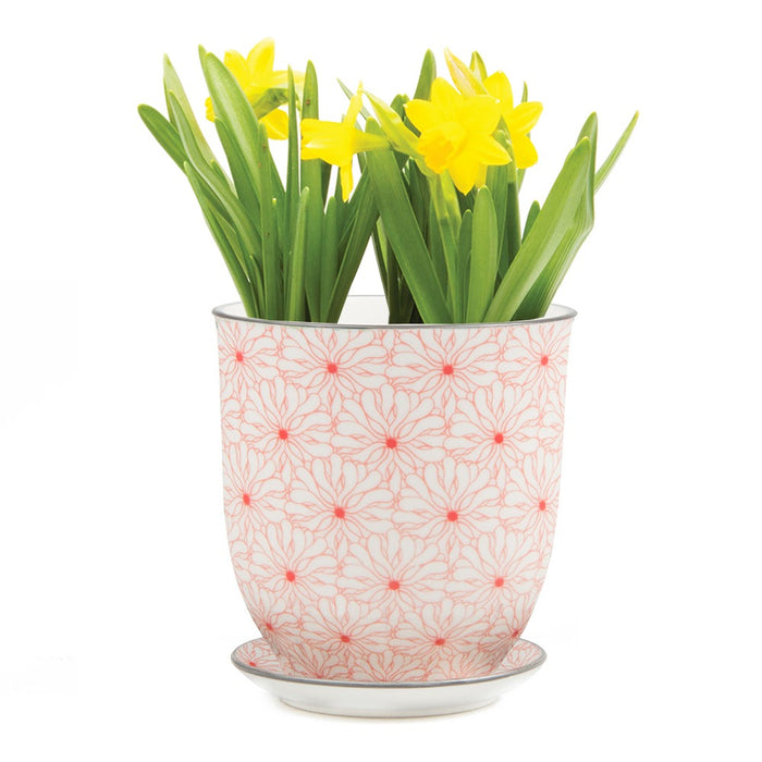 Red Flowers Pot & Saucer Planter - Large