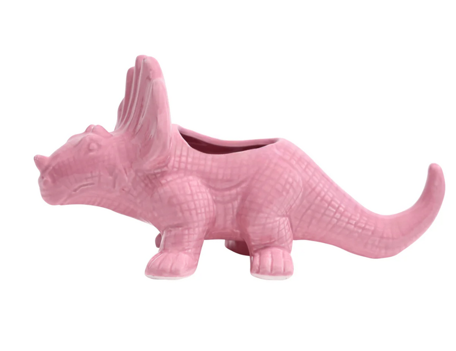 triceratops succulent Dinosaur Ceramic Indoor Plant Pot For Succulents 3.5" Triceratops